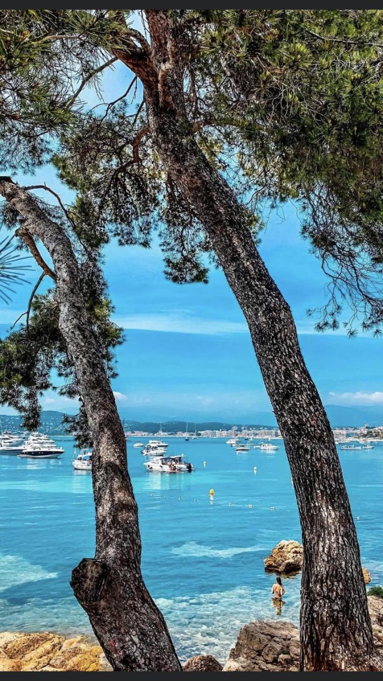 Beautiful Apartment Design Next To The Sea Antibes Extérieur photo
